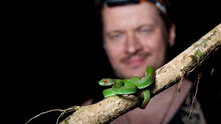 Herping southern Vietnam [upl. by Akapol]