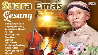 Suara Emas  GESANGBengawan Solo [upl. by Jordana]