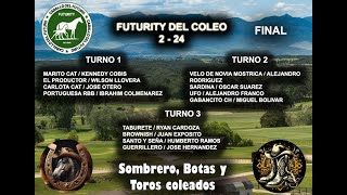 Primera Ronda Final Futurity 2 24 [upl. by Lionello]