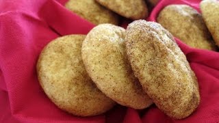 Snickerdoodle Recipe  The Frugal Chef [upl. by Hterrag]