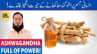 Ashwagandha Ke Fayde Ashwagandha Benefits For Men amp Women  Asgand  UrduHindi [upl. by Nnahgiel863]