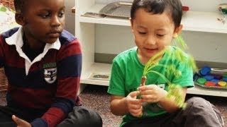 Empowering PreSchoolers The Role of Healthy Eating in Early Childhood Development [upl. by Leontyne]