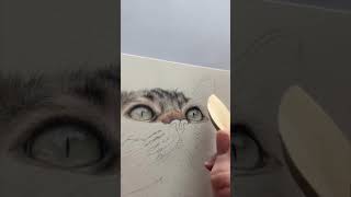 Using the Indenting technique to create fine white hairs 🐱 catdrawings bonnysnowdonacademy [upl. by Eanej]