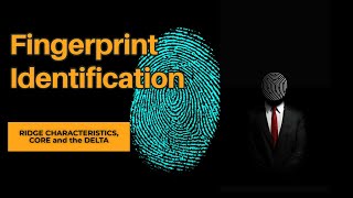 Fingerprint Identification  Personal Identification Techniques [upl. by Mathews694]