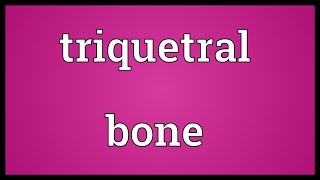 Triquetral bone Meaning [upl. by Selwyn751]