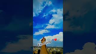 Kite flying in beautiful weather ❤️🪁✅ kite kitemarket kiteflying kiteshopping cheapestkiteshop [upl. by Philipson877]