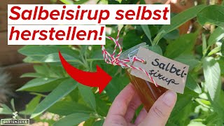 Salbeisirup selbst herstellen  ideal für die Erkältungszeit [upl. by Dnumsed]