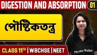 DIGESTION AND ABSORPTION 01  পৌষ্টিকতন্ত্র  Zoology  Class 11NEETWBCHSE [upl. by Grissel742]