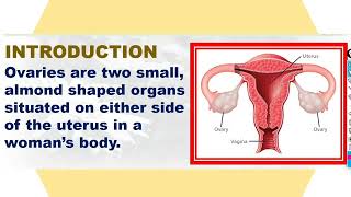 ovarian cyst part 1 by NGMedicals [upl. by Enelak477]