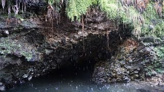 Deer Creek Bigelow Hot Springs  Oregon Cascades [upl. by Ecnarrat299]