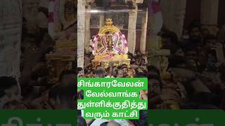 கந்தா கடம்பா கதிர்வேலா வேல்மாறல்கந்தசஷ்டி shortvideoமுருகன் முருகன்கோவில் srisensartandkitchen [upl. by Porche307]