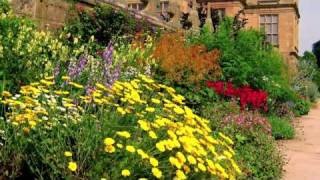 Pruning perennials [upl. by Filler]