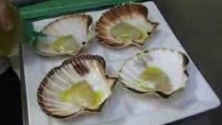 RECETTE Coquilles Saint Jacque par Gilles Epié sur CuisineO [upl. by Funch]