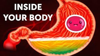 A Journey Inside Your Body [upl. by Shay383]