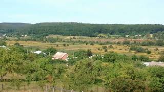 Overlook of fields covered with goldenrod in the village Zavadiv [upl. by Bobinette]