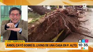 Familias de Puente Alto y Maipú afectados tras caída de árboles  Tu Día  Canal 13 [upl. by Naujed224]