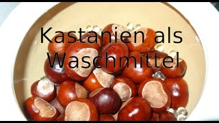 Kastanien als Waschmittel [upl. by Noletta]