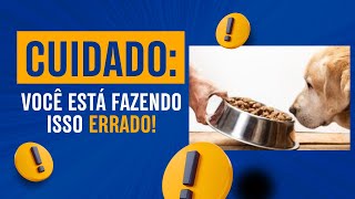 Como Escolher a Ração Ideal para Seu Pet  pets cuidadoscompet cuidadospet [upl. by Ajdan]