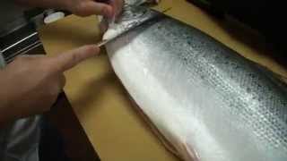 How To Fillet a Whole Salmon  How To Make Sushi Series [upl. by Imaon]