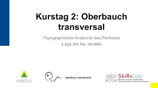 Vorklinischer Sonographie Kurs 2 Oberbauch transversal [upl. by Archangel]