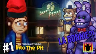 CATALUNYA A FNAF BONNIE ÉS FEMELLA I MENDINSO A LA PISCINA  Into The Pit 1  FNAF En Català [upl. by Johansen]