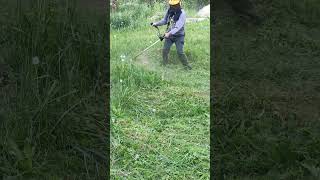 🚀 grasstrimmer 🚀 бензокоса brushcutter [upl. by Leumas]