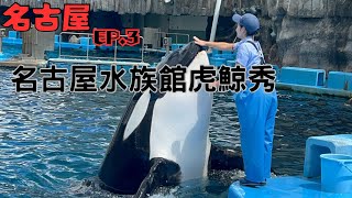 日本美食名古屋美食3 名古屋港水族館好厲害 名古屋城下的金鯱橫丁 名店矢場豬排 推薦在地居酒屋 [upl. by Wilbert]