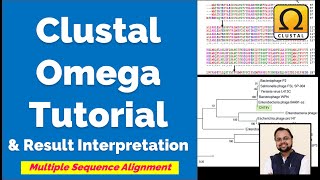 Beginners Guide to Clustal Omega  Multiple Sequence Alignment [upl. by Akeemaj]