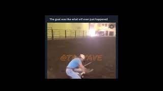 Goat like what happened viral animals [upl. by Lust]