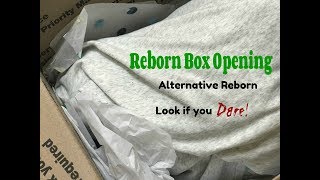 Alternative Reborn Baby Doll Box Opening Look if You Dare But its Really Cute [upl. by Austreng]