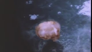 Rare footage of Nagasaki atomic bombing [upl. by Marrilee]