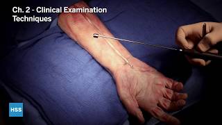 Palmaris Longus Tendon Part 2 Clinical Examination Techniques [upl. by Deery]