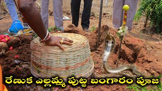 రేణుక ఎల్లమ్మ పుట్ట బంగారం పూజ 2022  Yellamma putta bangaram Puja 2022  Yellamma Panduga 2022 [upl. by Brodench]