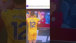 The Most Hilarious Football Fan Moment Caught on Camera [upl. by Esdnil]