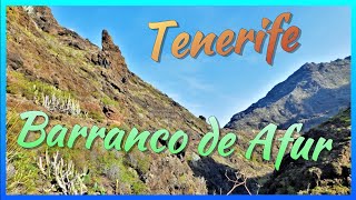 Barranco de Afur ParqueRuralDeAnaga Teneife SantaCruzDeTenerife IslasCanarias CanaryIslands [upl. by Nellir914]