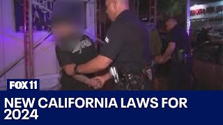 New California laws 2024 [upl. by Eitsym]