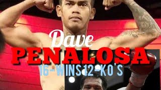 Dave The Hunter Penalosa all knockout win [upl. by Skill]