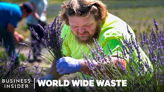 How ExMiners Turn Toxic Land into Lavender Farms  World Wide Waste [upl. by Aninnaig]