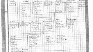 Base de Datos Veterinaria [upl. by Surbeck]