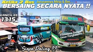 Ketika Dua Bus ini Saling Bersaing Secara Nyata❗KANCIL 03 ft PRIMADONA Wibiksana Siapa Paling [upl. by Allimak]