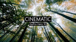 GoPro Hero 10  CINEMATIC 53K [upl. by Rubinstein]