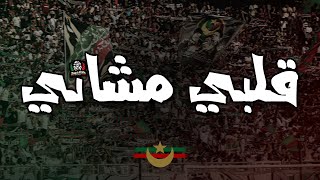 قلبي مشاني  التراس توالف بلاير  CHANT ULTRAS MOULOUDIA [upl. by Annim]