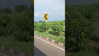 Travel from omerga to solapur Maharastra by road  omerga solapur ytshorts travel youtubeshorts [upl. by Annais]