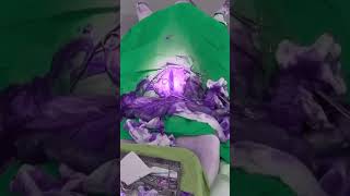 Dog Pyometra Surgery [upl. by Wanyen]