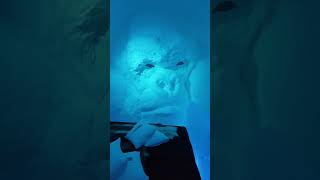 ICEHOTEL 2017 gorilla room ytshorts ytshort shortsvideo shortsfeed sweden icehotel [upl. by Marena]