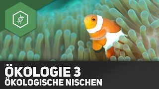 Umweltfaktoren und Ökologische Nischen  Ökologie 3 [upl. by Adriane]