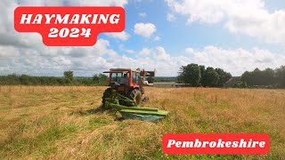 Haymaking 2024 in Pembrokeshire  Dropping Grass with Claas Mower [upl. by Nilcaj192]