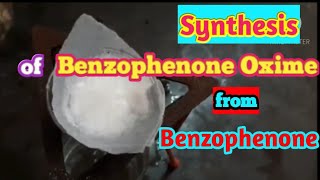 Synthesis of Benzophenone oxime from Benzophenone  Look in Discription for sound [upl. by Merfe973]