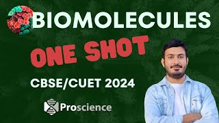 Biomolecules 2  One shot  2024 CUET CBSE [upl. by Nauqes]