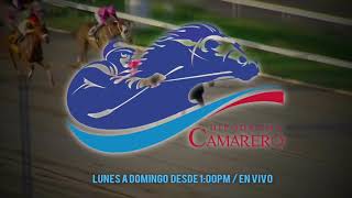 Hipódromo Camarero promo WIPR Deportes 940am [upl. by Helbonnah949]